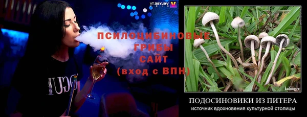 mdpv Армянск