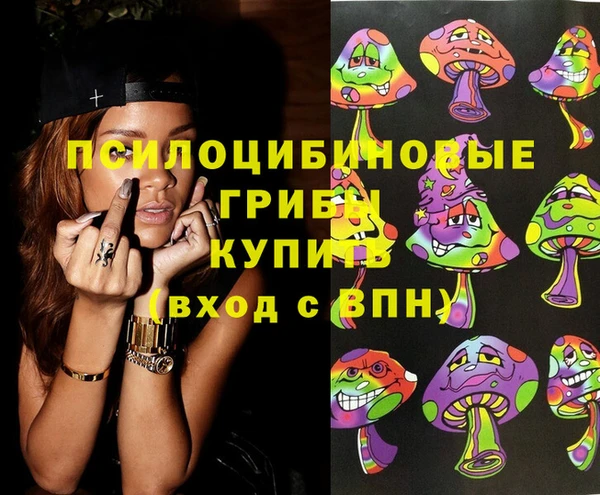 соль ск Арсеньев