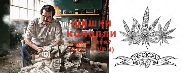 соль ск Арсеньев